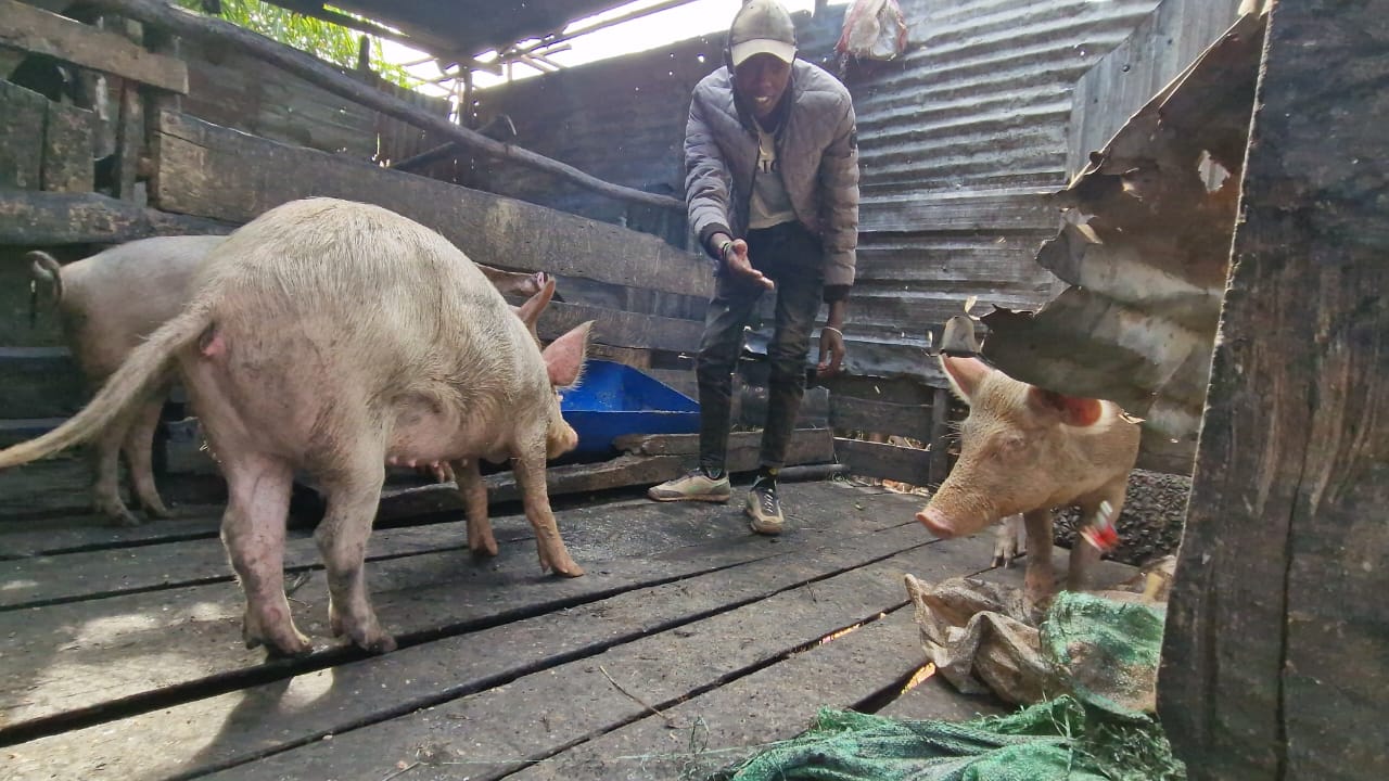 WhatsApp Image 2025-08-18 at 17.32.32