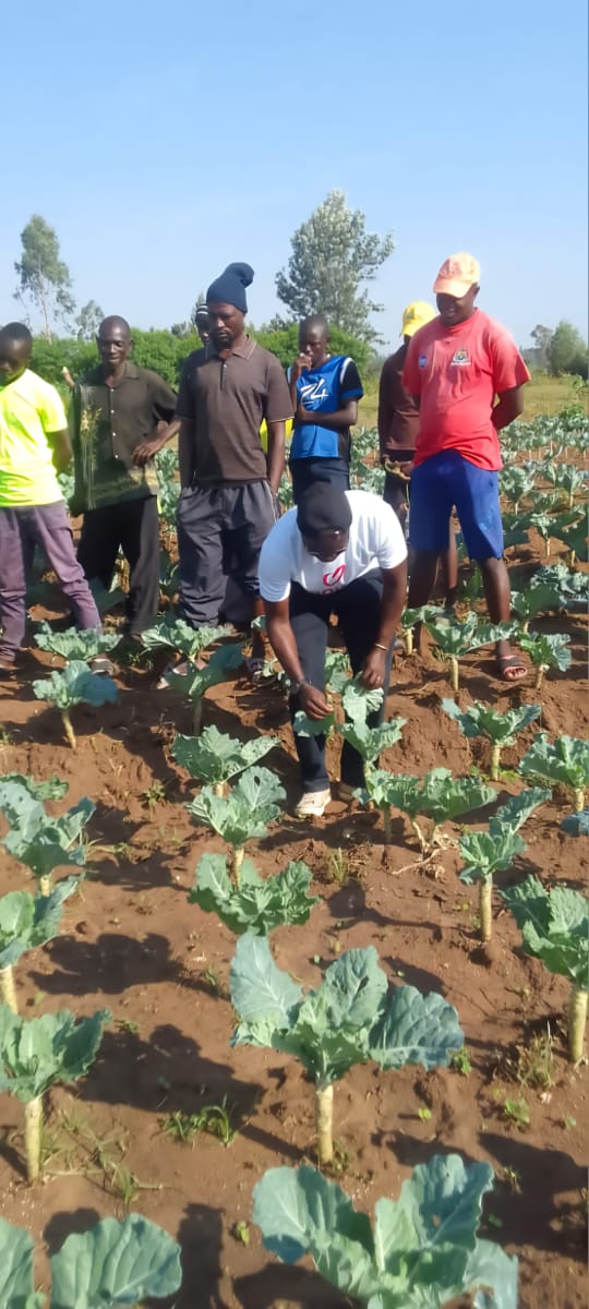 WhatsApp Image 2025-08-18 at 17.38.17