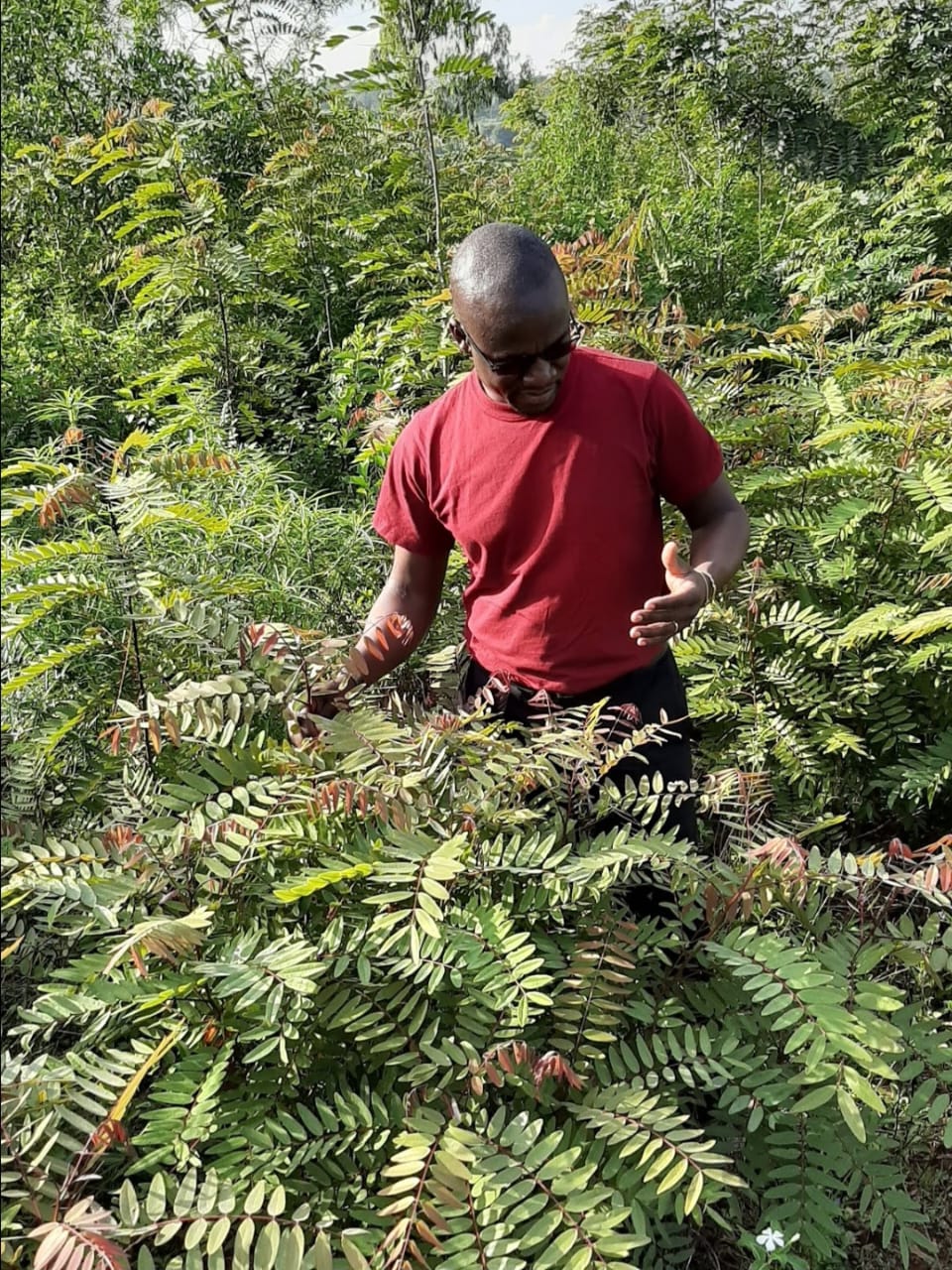 WhatsApp Image 2025-08-18 at 17.42.37