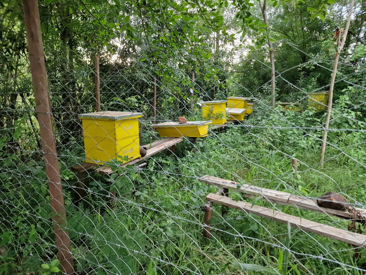 WhatsApp Image 2025-08-18 at 17.43.46