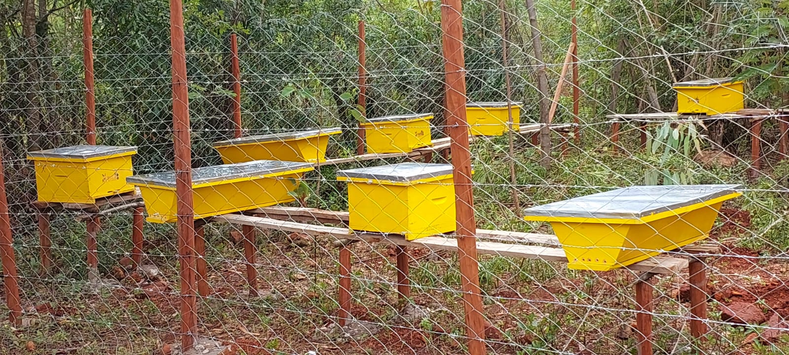 WhatsApp Image 2025-08-18 at 17.45.26 (1)